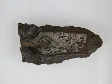 Counter Plate of a Belt Buckle, Frankish, 7th century. Creator: Unknown