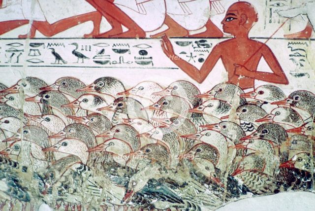 Counting the geese: fragment of wall painting from the tomb of Nebamun, Thebes, Egypt, c1350 BC. Artist: Unknown