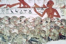 Counting the geese: fragment of wall painting from the tomb of Nebamun, Thebes, Egypt, c1350 BC