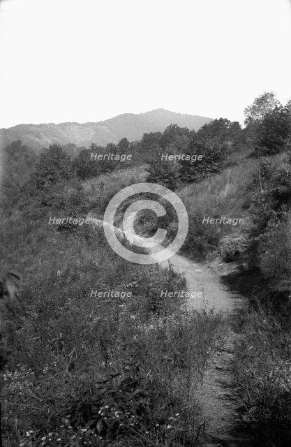 Country path, Appalachia, USA, c1917. Artist: Cecil Sharp