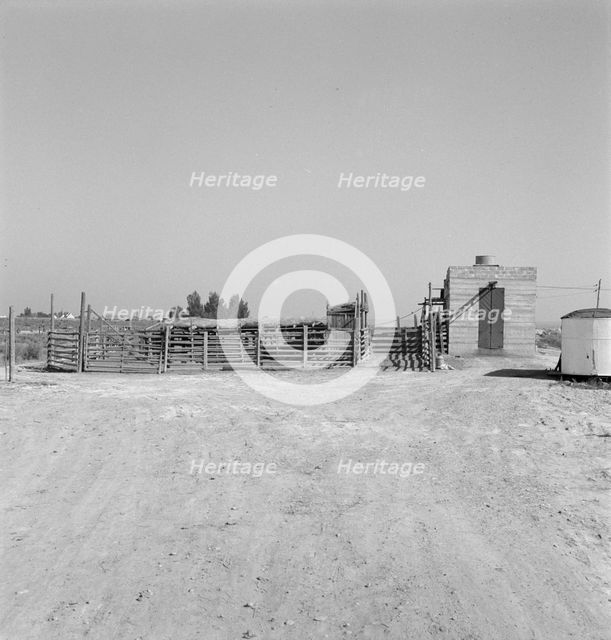 Country slaughterhouse for use of farmers, one mile north of Nyssa, Oregon, 1939. Creator: Dorothea Lange.