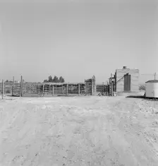 Country slaughterhouse for use of farmers, one mile north of Nyssa, Oregon, 1939. Creator: Dorothea Lange