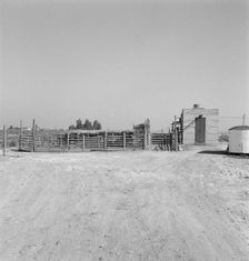 Country slaughterhouse for use of farmers, one mile north of Nyssa, Oregon, 1939. Creator: Dorothea Lange