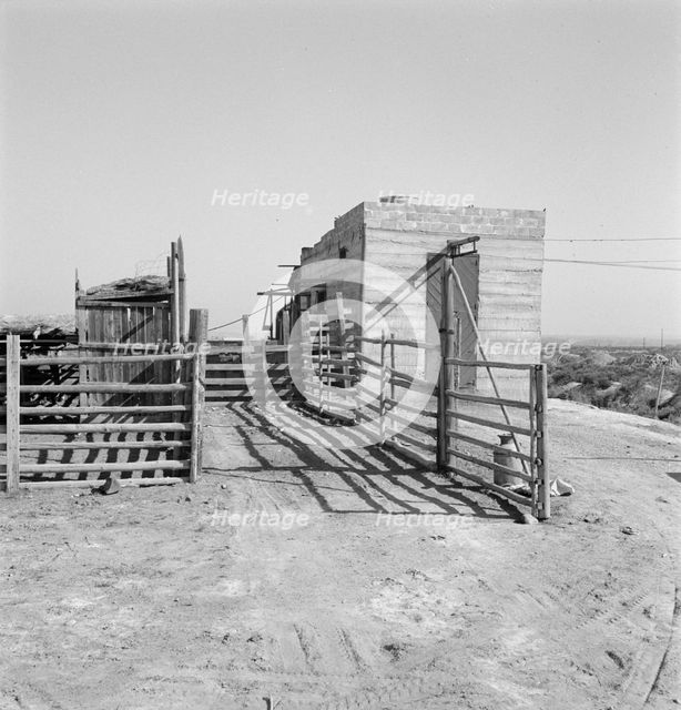 Country slaughterhouse for use of farmers, one mile north of Nyssa, Malheur County, Oregon, 1939. Creator: Dorothea Lange.
