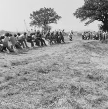 Courage Brewery, Imperial Way, Worton Grange, Reading, Reading, 02/06/1977. Creator: John Laing plc