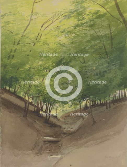 Course of a stream in a forest, 1855. Creator: Carl Theodor Reiffenstein.