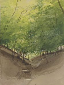 Course of a stream in a forest, 1855. Creator: Carl Theodor Reiffenstein