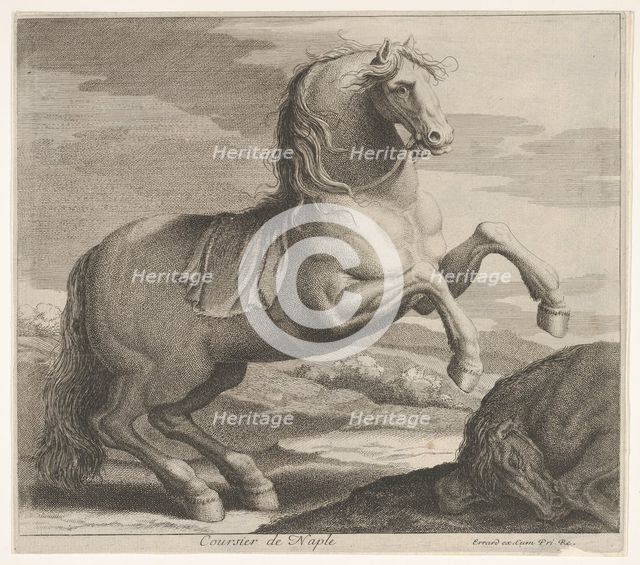 Coursier de Naple. Creator: Charles Errard le fils.