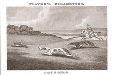 Coursing-(11) (1924). Creator: Unknown