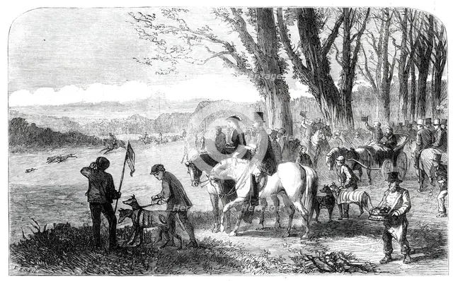 Coursing meeting at Hampton Park, 1860. Creator: Frederick John Skill.