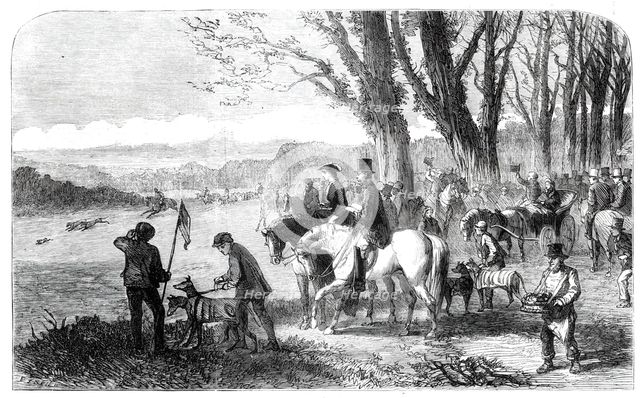 Coursing meeting at Hampton Park, 1860. Creator: Frederick John Skill.