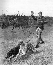 Coursing: Slipping the Greyhounds 1887