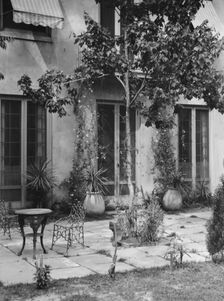 Courtyard, New Orleans or Charleston, South Carolina, between 1920 and 1926. Creator: Arnold Genthe