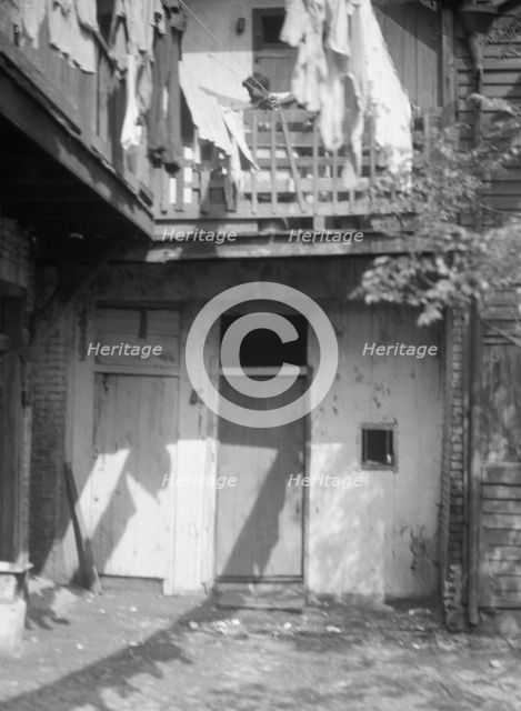 Courtyard, New Orleans, between 1920 and 1926. Creator: Arnold Genthe.