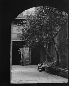 Courtyard, New Orleans, between 1920 and 1926. Creator: Arnold Genthe