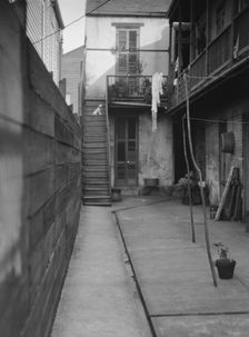Courtyard, New Orleans, between 1920 and 1926. Creator: Arnold Genthe