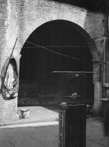 Courtyard, New Orleans, between 1920 and 1926. Creator: Arnold Genthe