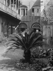 Courtyard, New Orleans, between 1920 and 1926. Creator: Arnold Genthe