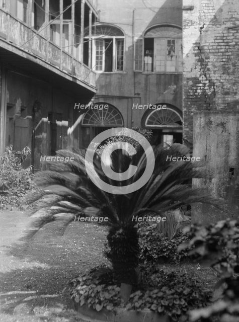 Courtyard, New Orleans, between 1920 and 1926. Creator: Arnold Genthe.