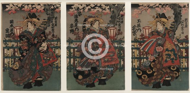 Courtesans Shigeoka, Sugatano and Hanamurasaki. Triptych. From the Series The Beauties of the Yoshiw Artist: Anonymous 