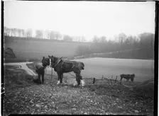 Courthill Farm, Nore Wood Lane, Slindon, Arun, West Sussex, 1908. Creator: Katherine Jean Macfee