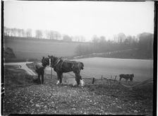 Courthill Farm, Nore Wood Lane, Slindon, Arun, West Sussex, 1908. Creator: Katherine Jean Macfee