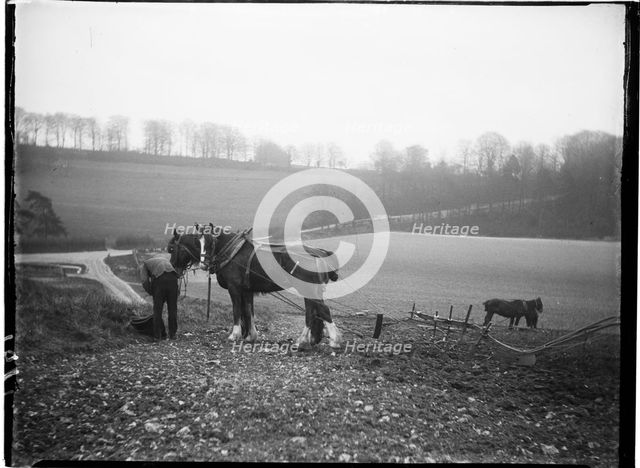 Courthill Farm, Nore Wood Lane, Slindon, Arun, West Sussex, 1908. Creator: Katherine Jean Macfee.