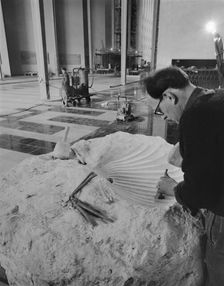 Coventry Cathedral, Priory Street, Coventry, 08/03/1962. Creator: John Laing plc