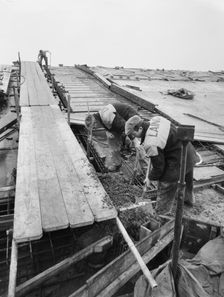 Coventry Cathedral, Priory Street, Coventry, 16/12/1959. Creator: John Laing plc