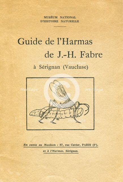 Cover of a booklet on entomology, 1933. Artist: Unknown