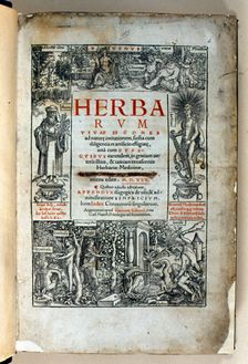 Cover of the book Herbarum vivae eicones ad nature imitationem by Otto Brunfels, 1530. Creator: Brunfels, Otto (1488-1534)