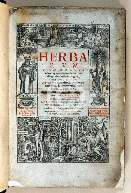 Cover of the book 'Herbarum vivae eicones ad nature imitationem' by Otto Brunfels, 1530. Creator: Brunfels, Otto (1488-1534).