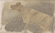 Cow, 1864-1880. Creator: Johannes Tavenraat