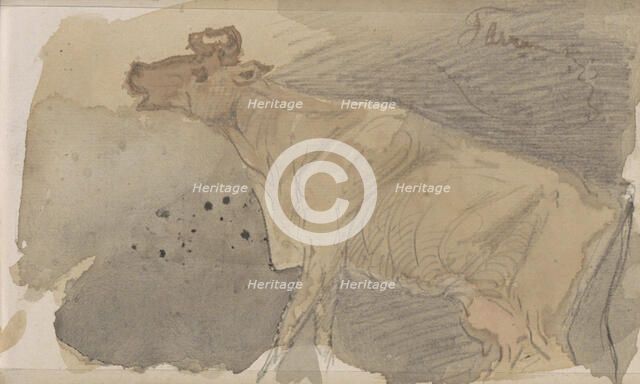 Cow, 1864-1880. Creator: Johannes Tavenraat.