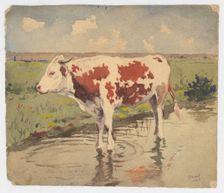 Cow, 1904. Creator: Gustav Mally