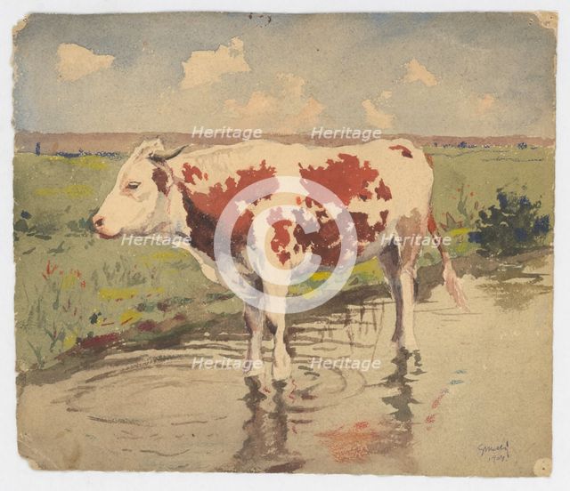 Cow, 1904. Creator: Gustav Mally.