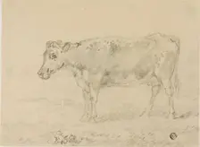 Cow, n.d. Creator: Sawrey Gilpin