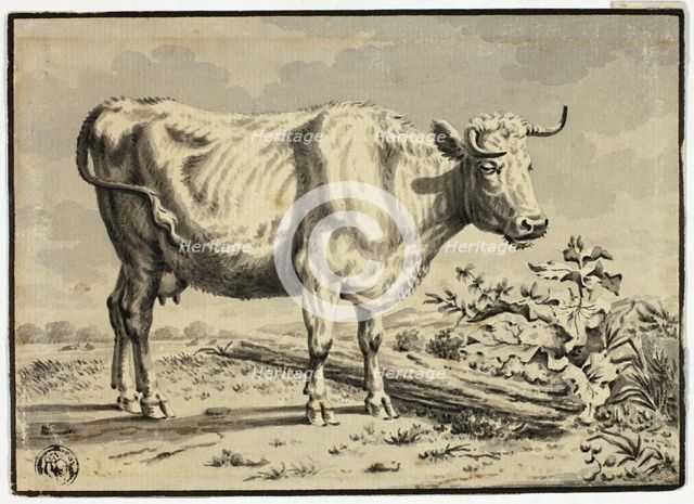 Cow, n.d. Creator: Unknown.