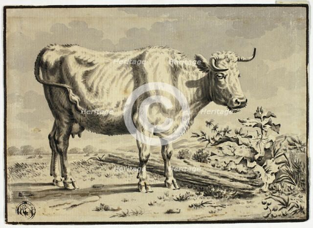 Cow, n.d. Creator: Unknown.