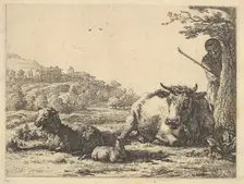 Cow, adult sheep, and young sheep lying in the grass; beyond, a shepherd stands partially ..., 1656. Creator: Karel Du Jardin