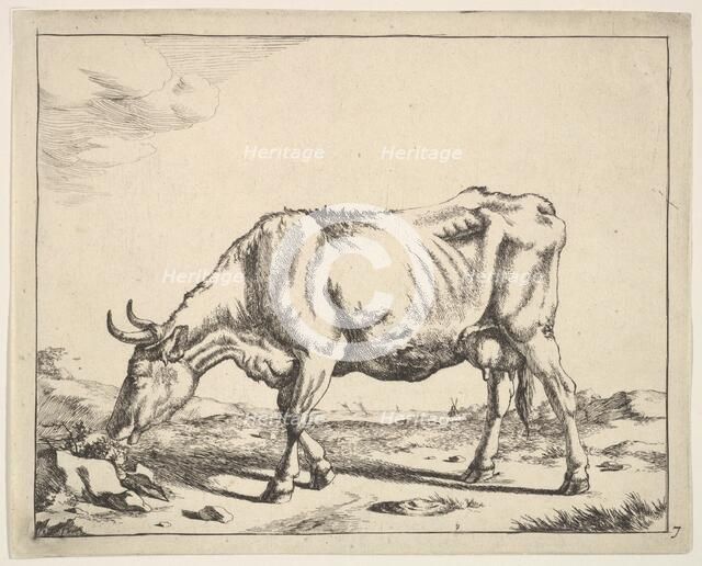 Cow, after Paulus Potter. Creator: Marcus de Bye.