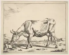 Cow, after Paulus Potter. Creator: Marcus de Bye