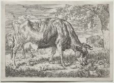 Cow and Two Sheep at the Foot of a Tree, 1670. Creator: Adriaen van de Velde (Dutch, 1636-1672)