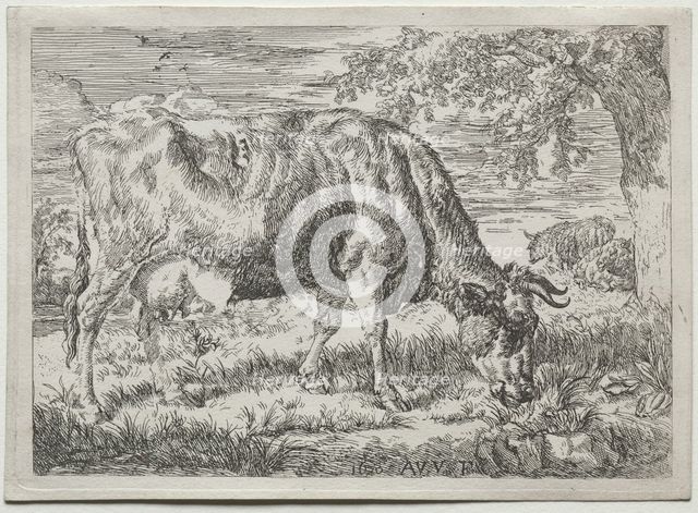 Cow and Two Sheep at the Foot of a Tree, 1670. Creator: Adriaen van de Velde (Dutch, 1636-1672).