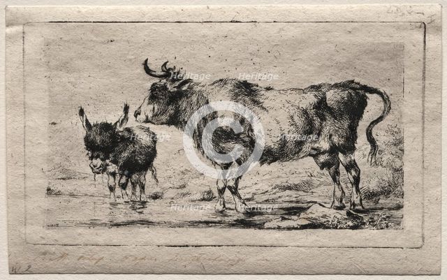Cow and Ass, 1849. Creator: Charles Meryon (French, 1821-1868).