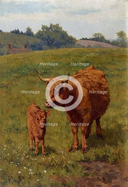 Cow and Calf, 1881. Creator: Bryan Hook.