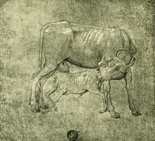Cow and calf, mid-late 15th centuy, (1943). Creator: Benozzo Gozzoli