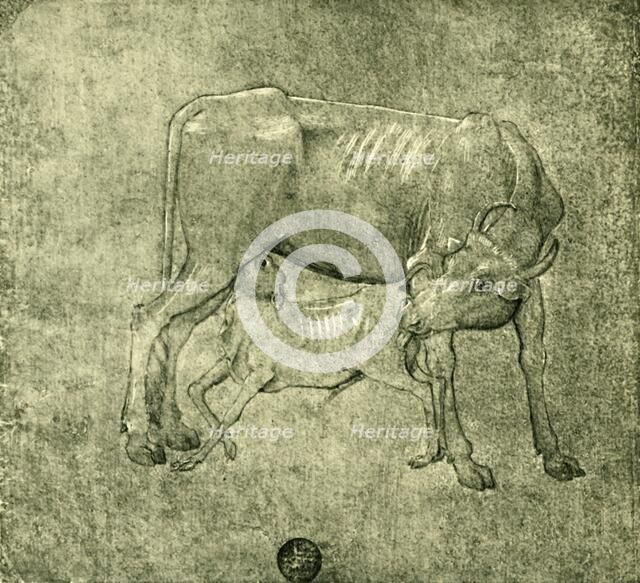 Cow and calf, mid-late 15th centuy, (1943). Creator: Benozzo Gozzoli.