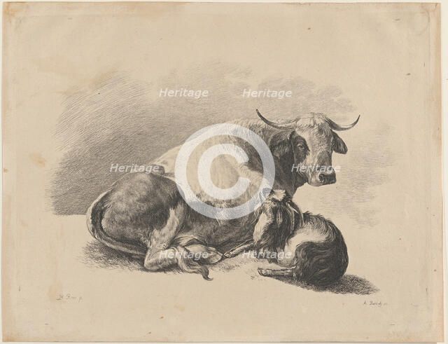 Cow and goat lying down, 1800-01. Creator: Adam von Bartsch.