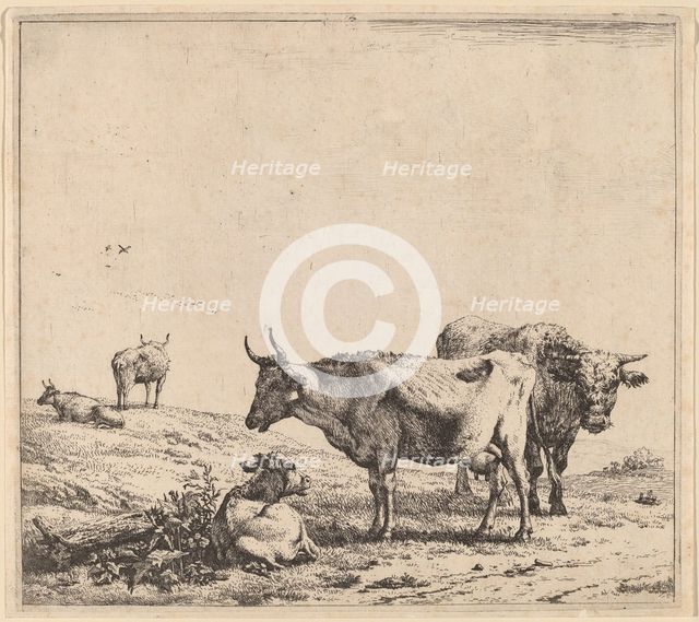 Cow, Bull and Calf. Creator: Karel Du Jardin.